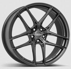 DOTZ LAGUNASECA grey 9X21 5X112 ET40